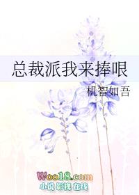 总裁派我来捧哏